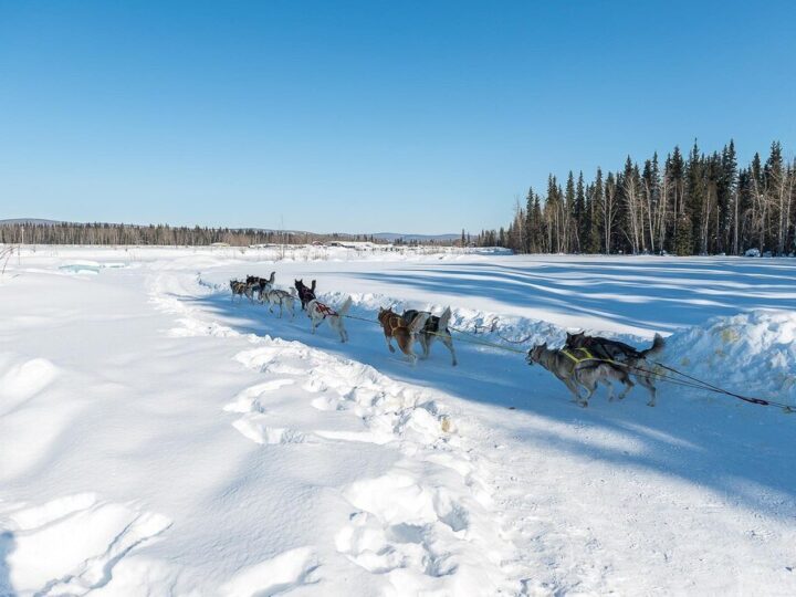 Wycieczka do Laponii: odkryj zimowe atrakcje Rovaniemi