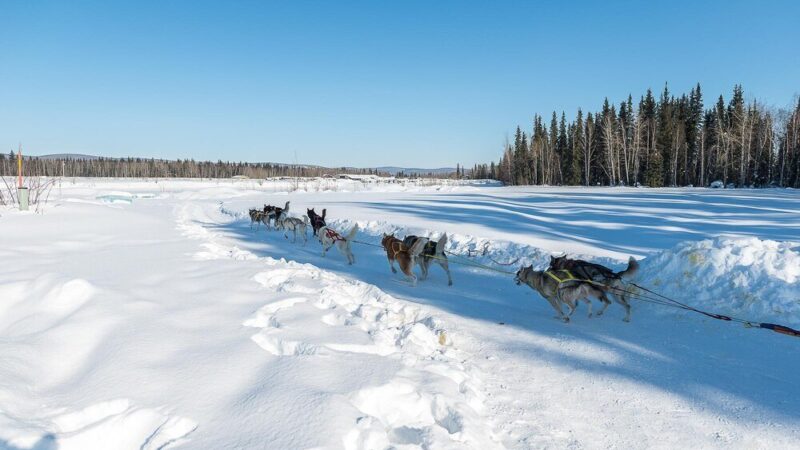Wycieczka do Laponii: odkryj zimowe atrakcje Rovaniemi